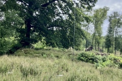 53E124DF-04AD-4341-8B44-BCCB5402C092