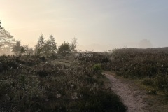 IMG_1032